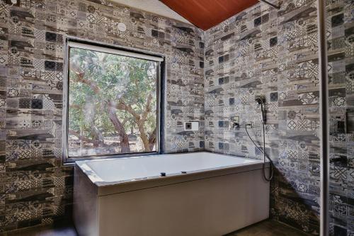 gir lion safari camp