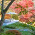 fuji view hotel