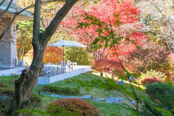 fuji view hotel