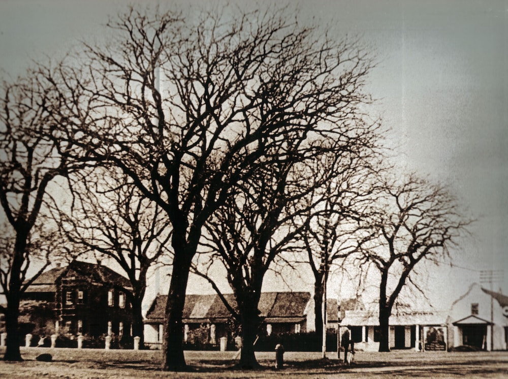 premier express inn george outeniqua