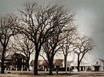 premier express inn george outeniqua