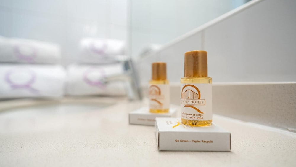 hotel ours blanc centre