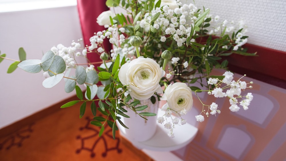 hotel ours blanc centre