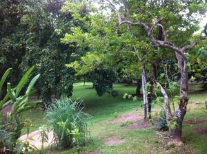 bed and breakfast chiang rai