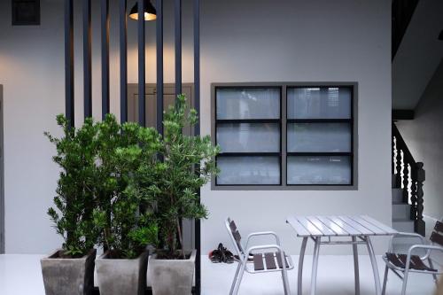 sailomyen cafe and hostel