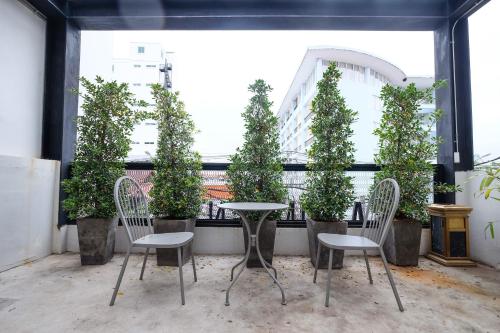 sailomyen cafe and hostel