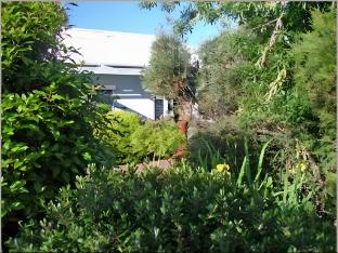 butlers guesthouse