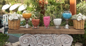 alavya special class