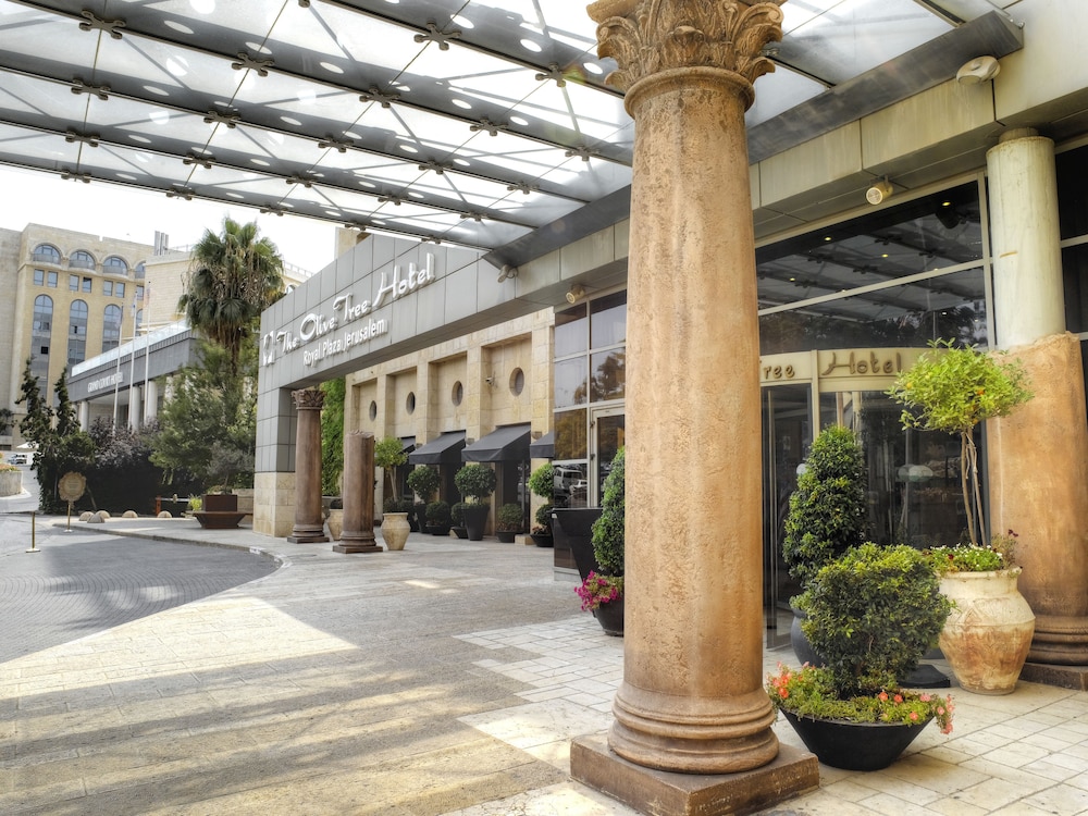 olive tree hotel