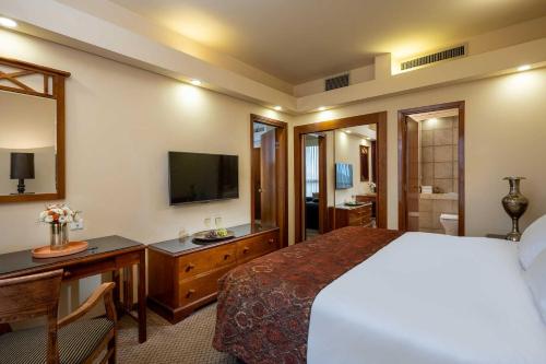 olive tree hotel
