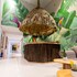 casa chunuu hotel boutique