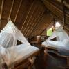 flower bud bungalows