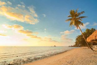 white sand princess hotel