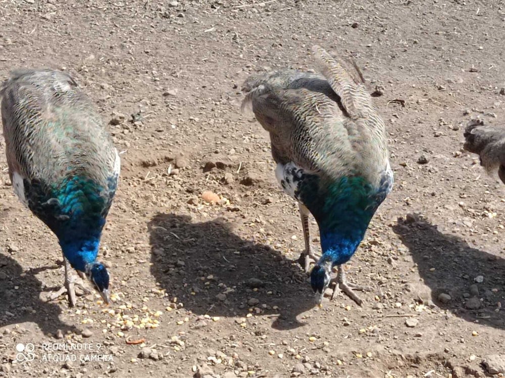 hotel rural la raya 1866