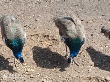 hotel rural la raya 1866