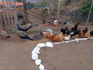 hotel rural la raya 1866