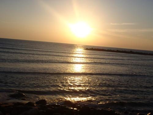 marom hof hacarmel apartments