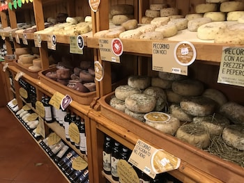 castiglion fiorentino
