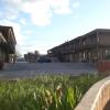 The Tombstone Motel,,2.5 star