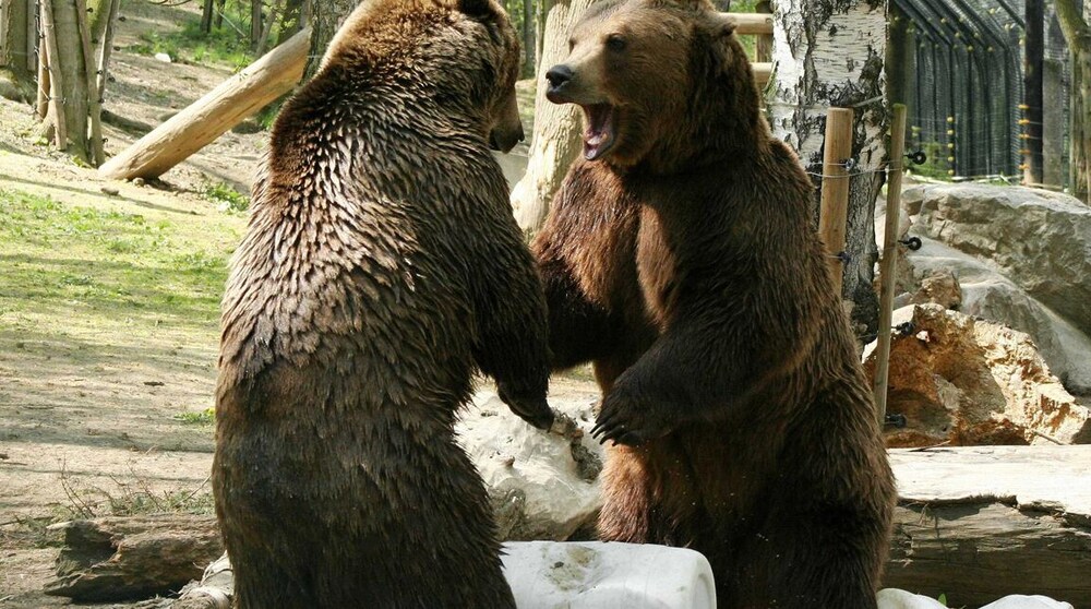 hotel karlstejn and spa