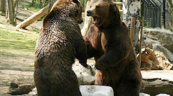 hotel karlstejn and spa