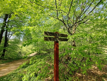 velling koller hostel