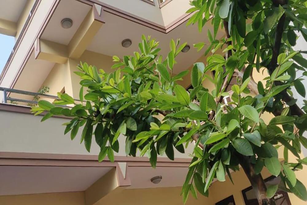 samakhusi deluxe apartment