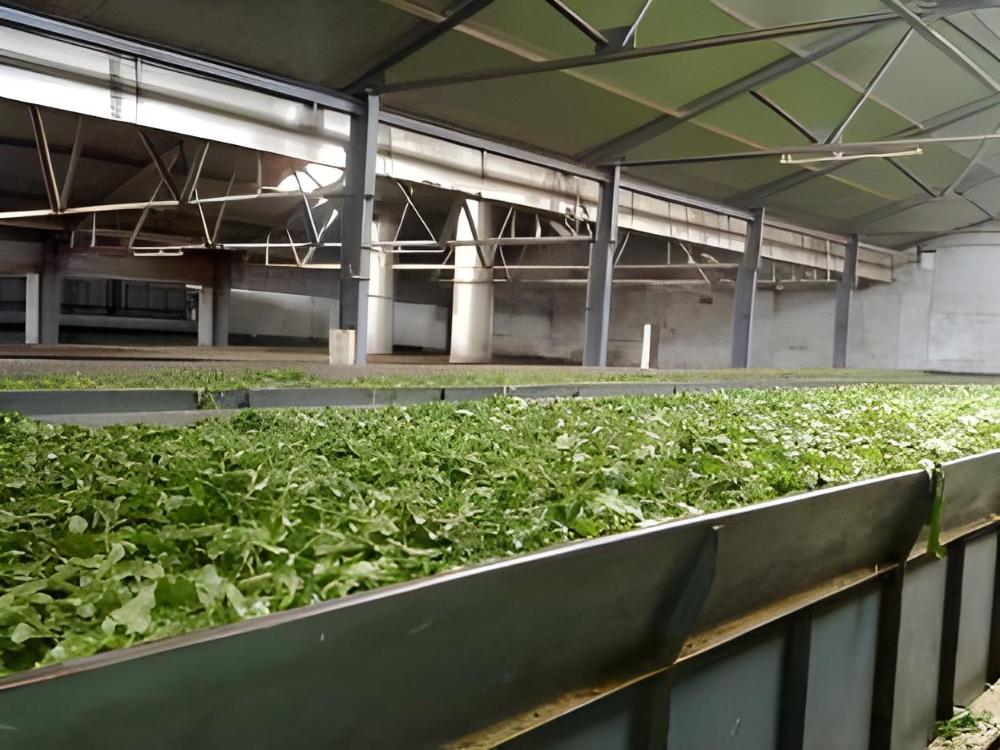 sun park grand hotel