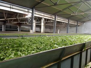 sun park grand hotel