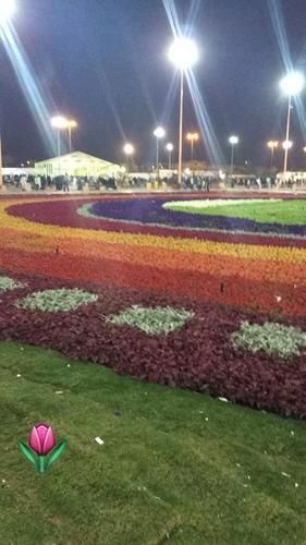 almuhaidb khanshalila