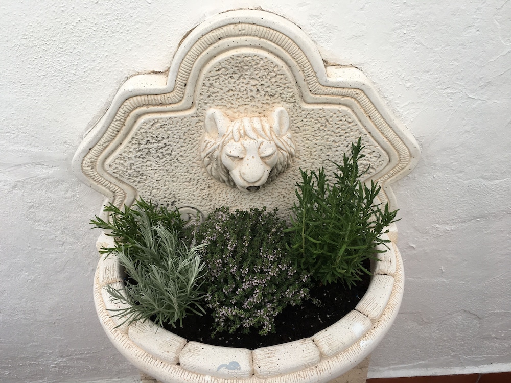 la moraga de poniente malaga hostel