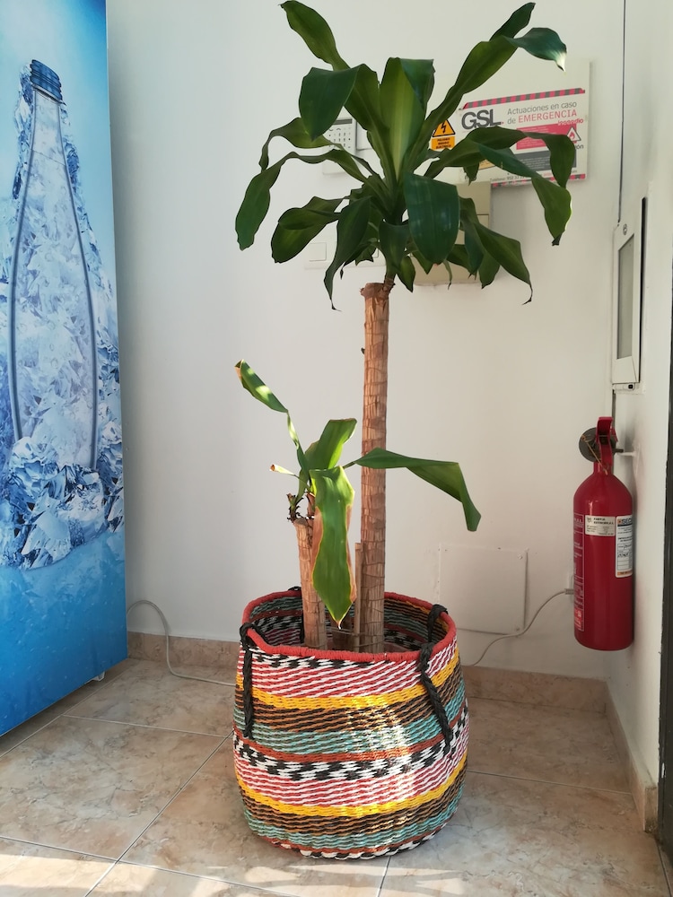 la moraga de poniente malaga hostel