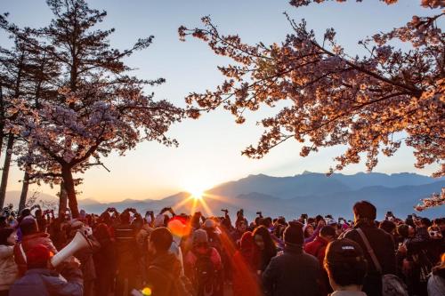 alishan shermuh tourist hotel