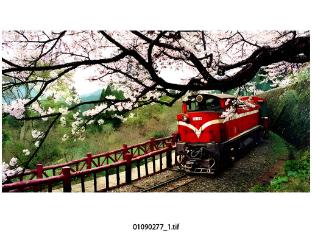 alishan shermuh tourist hotel