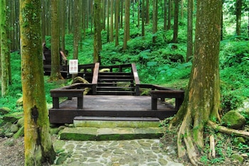 alishan shermuh tourist hotel