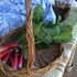 corella creek country farm stay