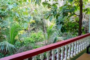 goa