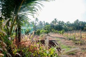 goa