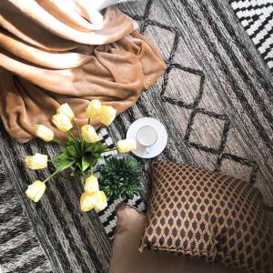 pleasant condominiums