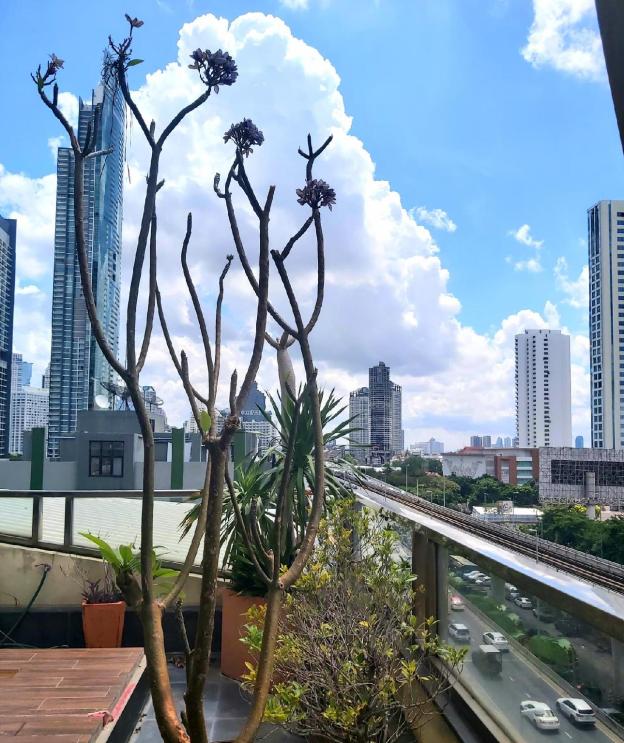 bella b all suite bangkok