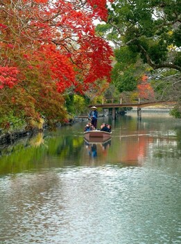 yanagawa