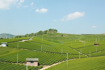 ikenoyamaso