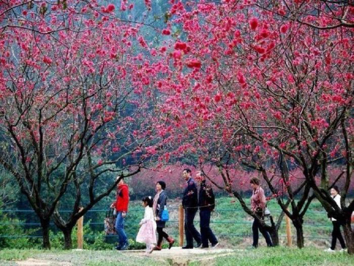 foshan