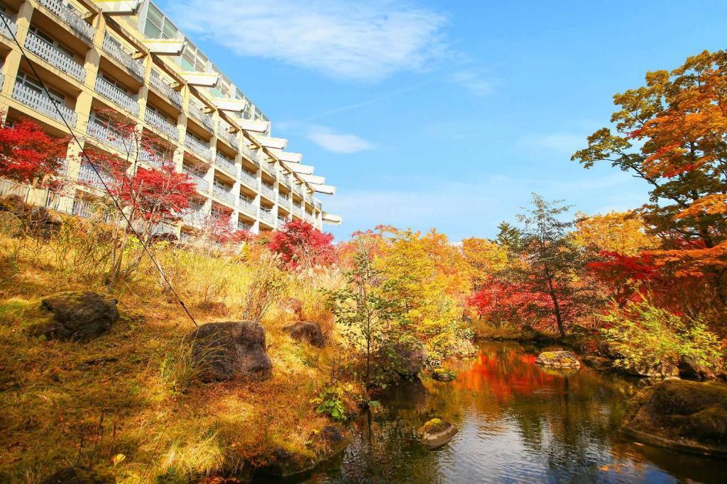 taoya nikko kirifuri