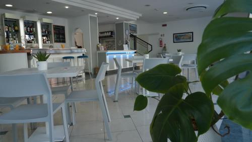 lively hotel