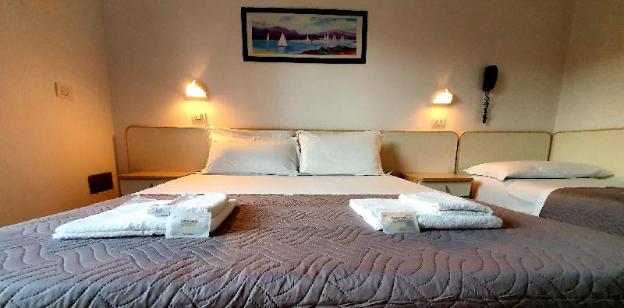 lively hotel
