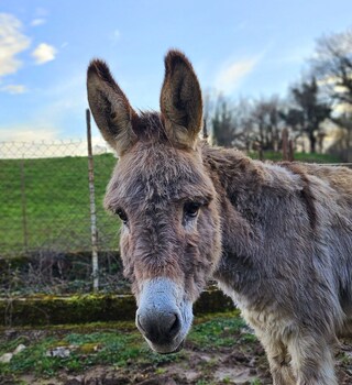 roulottes du petit gouffre de padirac