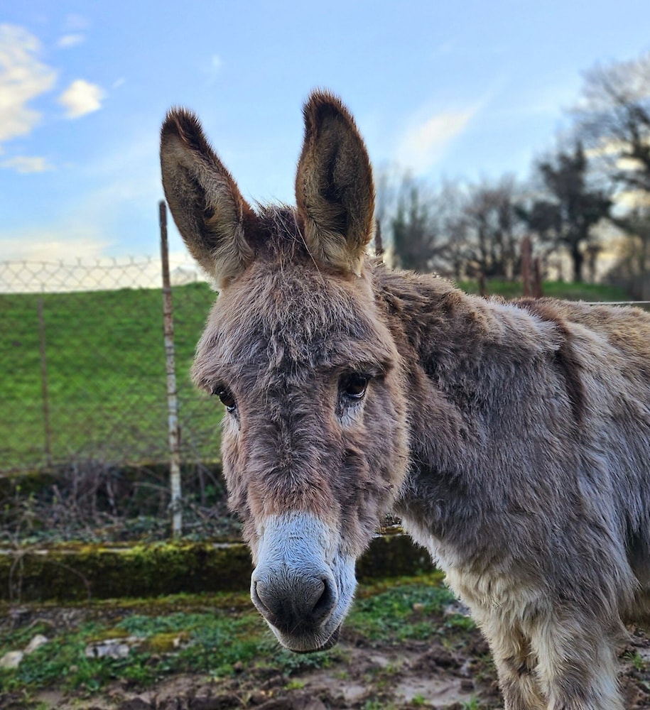 roulottes du petit gouffre de padirac