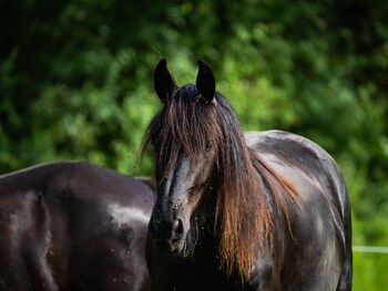 roulottes du petit gouffre de padirac