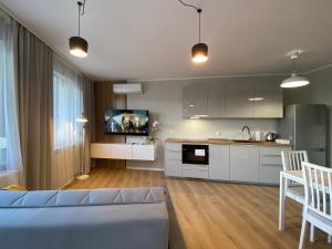 apartament torun
